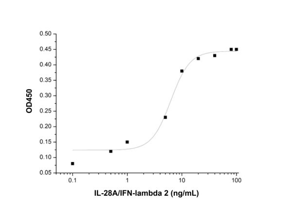 Recombinant Human IL-28A/IFN-lambda 2 Protein,Recombinant Human IL-28A/IFN-lambda 2 Protein