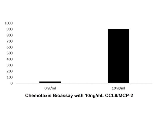 Recombinant Human CCL8/MCP-2 Protein,Recombinant Human CCL8/MCP-2 Protein