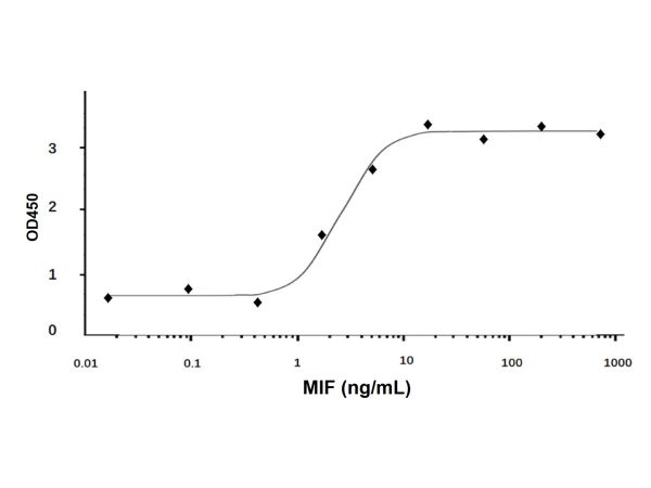 Recombinant Human MIF Protein,Recombinant Human MIF Protein