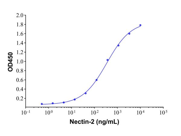 Recombinant Human Nectin-2/CD112 Protein,Recombinant Human Nectin-2/CD112 Protein