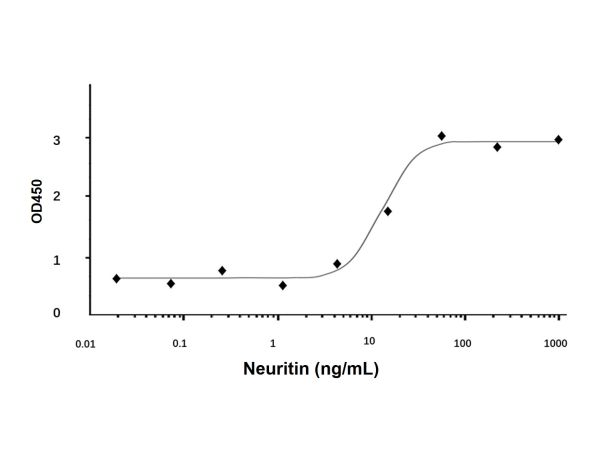 Recombinant Human Neuritin Protein,Recombinant Human Neuritin Protein