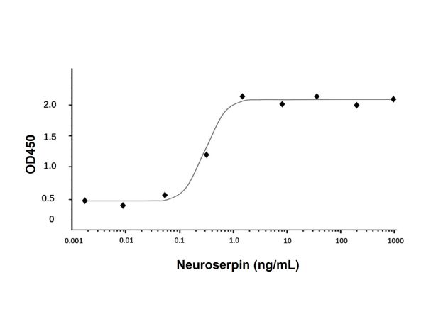 Recombinant Human Neuroserpin Protein,Recombinant Human Neuroserpin Protein