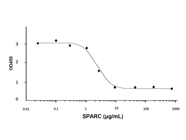 Recombinant Human SPARC Protein,Recombinant Human SPARC Protein