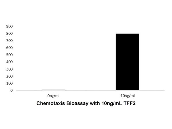 Recombinant Human TFF2 Protein,Recombinant Human TFF2 Protein