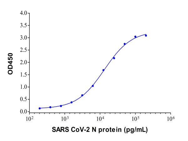 SARS CoV-2 N Protein Mouse mAb,SARS CoV-2 N Protein Mouse mAb