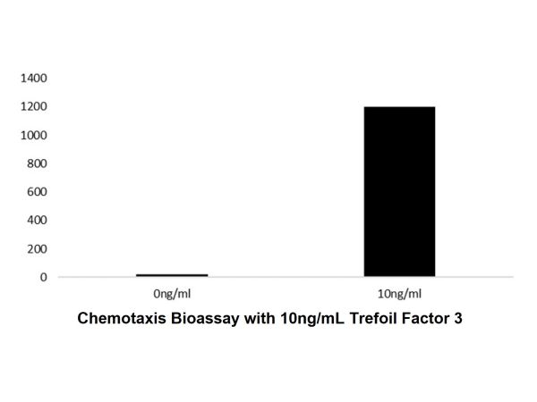 Recombinant Human Trefoil Factor 3 Protein,Recombinant Human Trefoil Factor 3 Protein