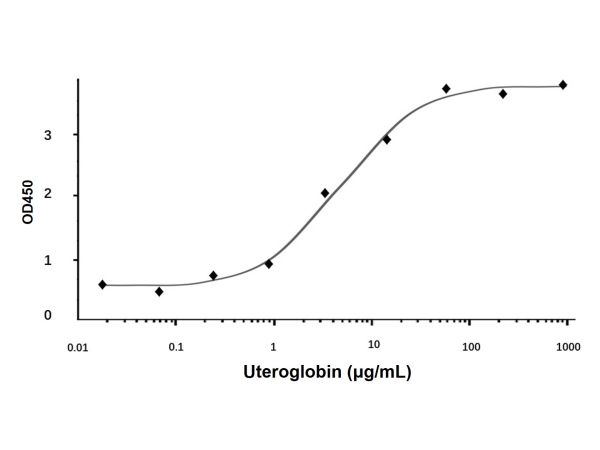 Recombinant Human Uteroglobin Protein,Recombinant Human Uteroglobin Protein