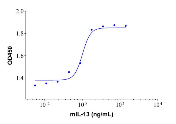 Recombinant Mouse IL-13 Protein,Recombinant Mouse IL-13 Protein