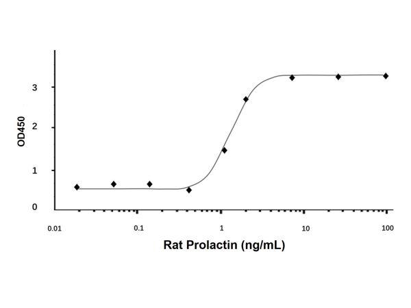 Recombinant Rat Prolactin Protein,Recombinant Rat Prolactin Protein