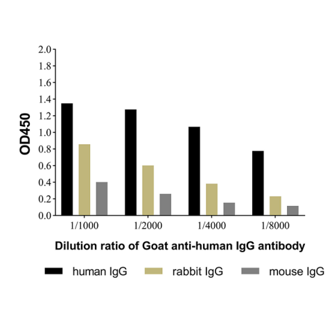 Goat Anti-Human IgG Antibody,Goat Anti-Human IgG Antibody