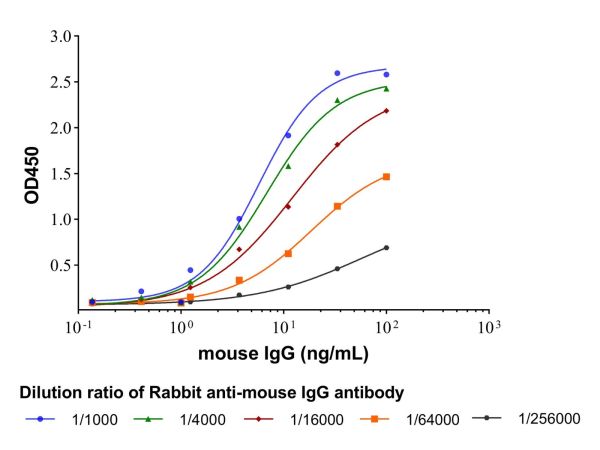 Rabbit anti-mouse IgG antibody,Rabbit anti-mouse IgG antibody