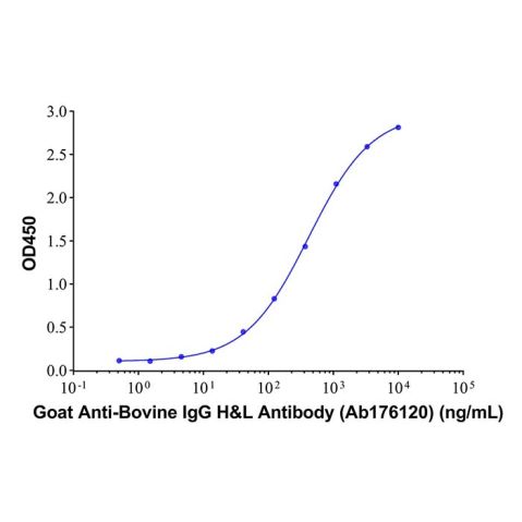 Goat Anti-Bovine IgG H&L Antibody,Goat Anti-Bovine IgG H&L Antibody