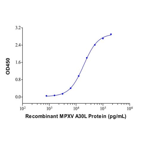 A30L Mouse mAb,A30L Mouse mAb