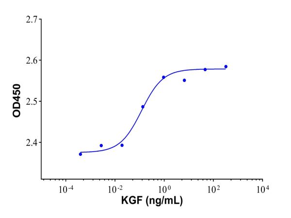 Recombinant Human KGF/FGF-7 Protein,Recombinant Human KGF/FGF-7 Protein