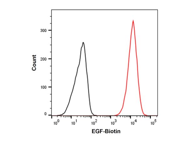 Recombinant Human EGF Protein (Biotin),Recombinant Human EGF Protein (Biotin)