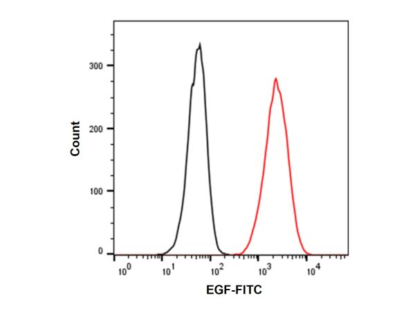 Recombinant Human EGF Protein (FITC),Recombinant Human EGF Protein (FITC)