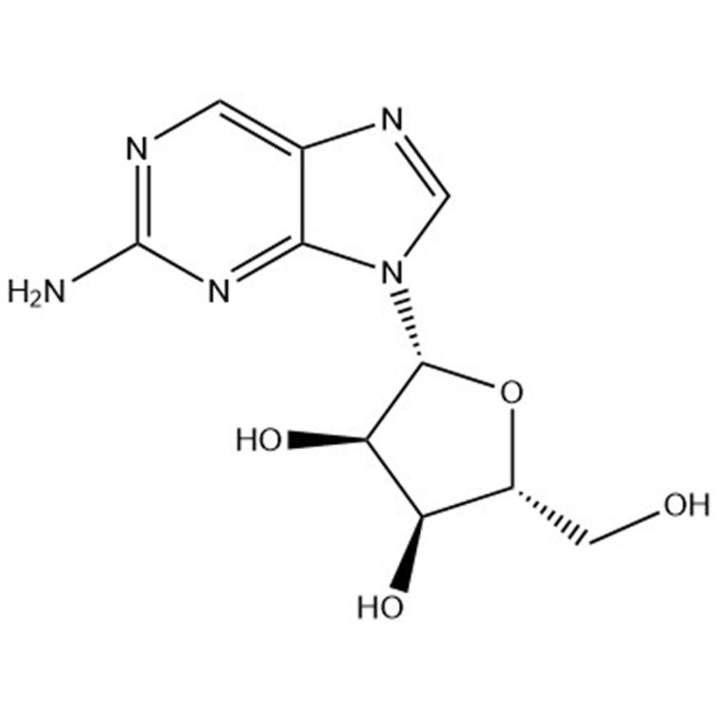 2-氨基嘌呤核苷,2-Aminopurine riboside