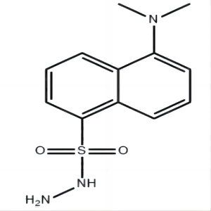 丹磺酰肼,DANSYL HYDRAZINE