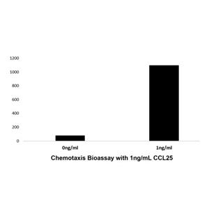 aladdin 阿拉丁 rp143741 Recombinant Human CCL25 Protein Animal Free, >97%(SDS-PAGE and HPLC), Active, E.coli, No tag, 24-150 aa