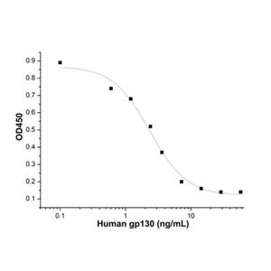 Recombinant Human gp130 Protein,Recombinant Human CD130 (gp130) protein