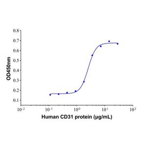 aladdin 阿拉丁 rp143954 Recombinant Human CD31/PECAM-1 Protein Animal Free, >95%(SDS-PAGE), Active, 293F, His tag, 28-601 aa 