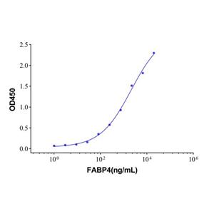 Recombinant Human FABP4 Protein,Recombinant Human FABP4 Protein