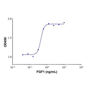 Recombinant human FGF1 protein,Recombinant human FGF1 protein