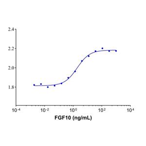 Recombinant Human FGF10 Protein,Recombinant human FGF10 protein (Active)