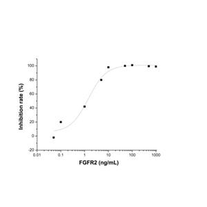 aladdin 阿拉丁 rp146001 Recombinant Human FGFR2 Protein Animal Free, >95%(SDS-PAGE), Active, 293F, Fc&His, 22-377aa