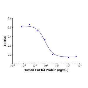 Recombinant Human FGFR4 protein,Recombinant Human FGFR4 protein