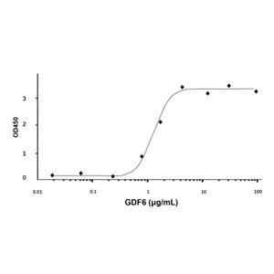 aladdin 阿拉丁 rp146383 Recombinant Human GDF6 Protein Animal Free, >95%(SDS-PAGE and HPLC), Active, E.coli, No tag, 336-455 aa