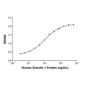 Recombinant Human Gremlin 1 Protein,Recombinant Human Gremlin 1 Protein