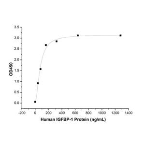 Recombinant Human IGFBP-1 Protein,Recombinant Human IGFBP-1 Protein