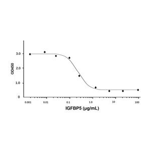 aladdin 阿拉丁 rp147287 Recombinant Human IGFBP5 Protein Animal Free, >96%(SDS-PAGE and HPLC), Active, E.coli, No tag,  21-272 aa