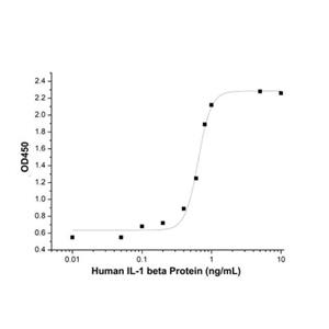 Recombinant Human IL-1 beta Protein,Recombinant Human IL-1 beta Protein