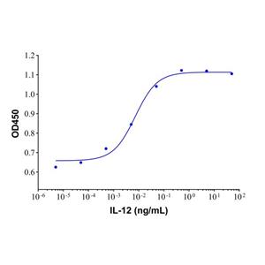 aladdin 阿拉丁 rp147384 Recombinant Human IL-12 Protein Animal Free, > 95% (SDS-PAGE), Active, CHO, No tag,  Human IL-12 p40 (Ile23-Ser328) & Human IL-12 p35 (Arg23-Ser219)