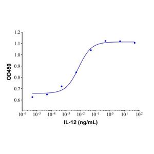 Recombinant Human IL-12 Protein,Recombinant Human IL-12 Protein