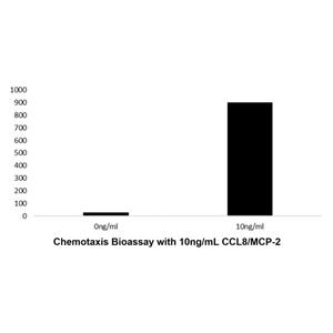 aladdin 阿拉丁 rp148607 Recombinant Human CCL8/MCP-2 Protein Animal Free, >96%( SDS-PAGE and HPLC), Active, E.coli, No tag, 24-99 aa