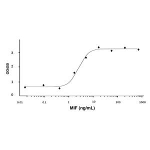 Recombinant Human MIF Protein,Recombinant Human MIF Protein