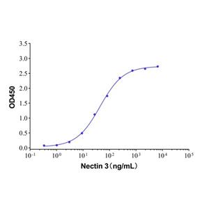 aladdin 阿拉丁 rp149161 Recombinant Human Nectin-3 Protein Animal Free, >98%(SDS-PAGE), Active, HEK293, His tag, 58-400 aa