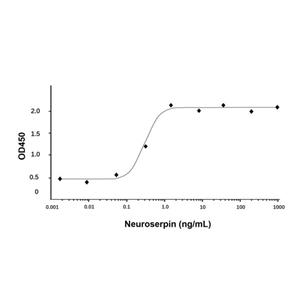 aladdin 阿拉丁 rp149226 Recombinant Human Neuroserpin Protein Animal Free, >95%(SDS-PAGE and HPLC), Active, E.coli, No tag, 17-410 aa