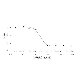 aladdin 阿拉丁 rp151779 Recombinant Human SPARC Protein Animal Free, >98% (SDS-PAGE, HPLC), Active, E.coli, No tag, 18-303 aa