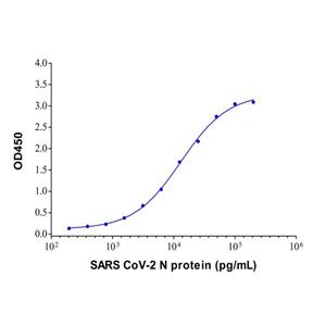 aladdin 阿拉丁 Ab155837 SARS CoV-2 N Protein Mouse mAb mAb (C07/6H1); Mouse anti SARS CoV-2 N Protein Antibody; Capture antibody, ELISA; Unconjugated