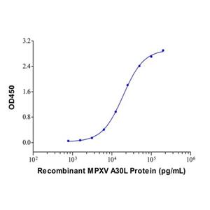 aladdin 阿拉丁 Ab156142 A30L Mouse mAb mAb (EF01/1A8); Mouse anti A30L Antibody; Detection antibody, ELISA; Unconjugated
