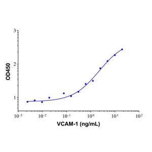 aladdin 阿拉丁 rp153094 Recombinant Human VCAM1 Protein Carrier Free, >92% (SDS-PAGE), Active, 293F, N-His tag,109-318 aa