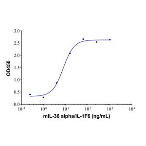 aladdin 阿拉丁 rp154218 Recombinant Mouse IL-36 alpha/IL-1F6 Protein Animal Free, >95%(SDS-PAGE), Active, E.coli, His tag, 376-495aa