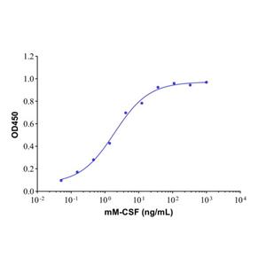 aladdin 阿拉丁 rp154365 Recombinant Mouse M-CSF Protein >90% SDS-PAGE, Active, 293F, His-tag, 33-262 aa