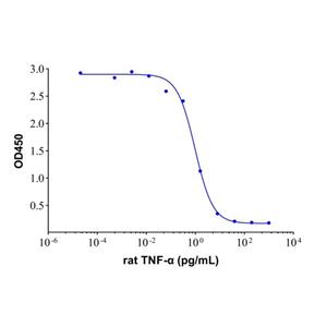 aladdin 阿拉丁 rp155241 Recombinant Rat TNF-alpha Protein Animal Free,  >95% (SDS-PAGE), Active, 293F, His tag, 80-235 aa