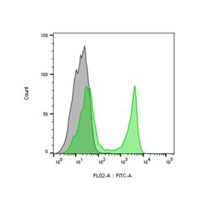 Streptavidin protein (FITC),Streptavidin protein (FITC)