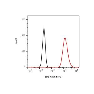 Goat Anti-Mouse IgG H&L (FITC),Goat Anti-Mouse IgG H&L (FITC)